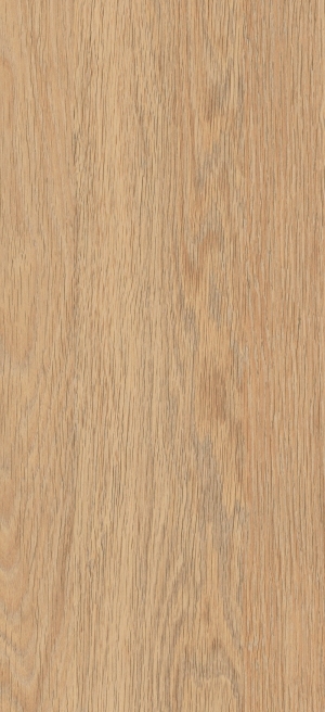 ModernWood Texture