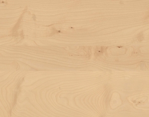 ModernWood Texture