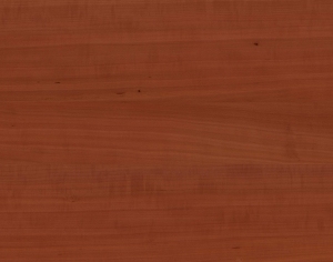 ModernWood Texture