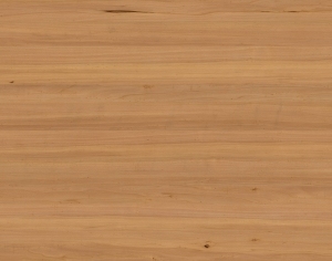 ModernWood Texture