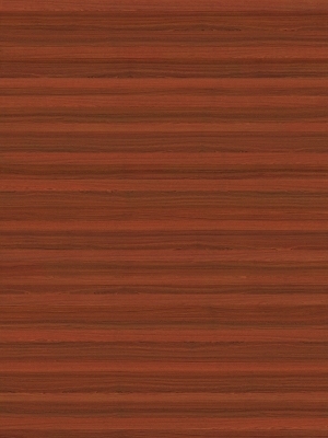 ModernWood Texture