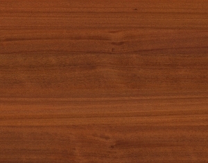 ModernWood Texture