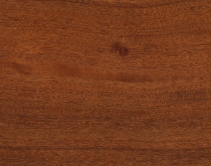 ModernWood Texture