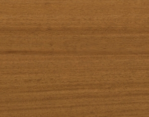 ModernWood Texture