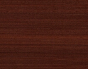 ModernWood Texture