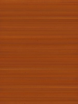 ModernWood Texture