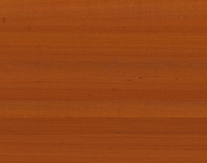 ModernWood Texture