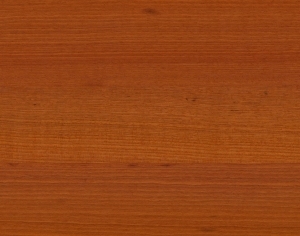 ModernWood Texture