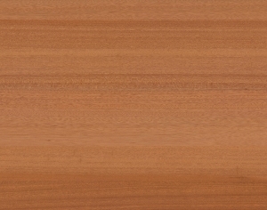 ModernWood Texture