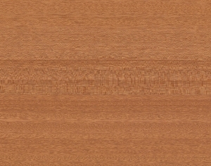 ModernWood Texture