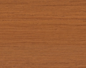 ModernWood Texture