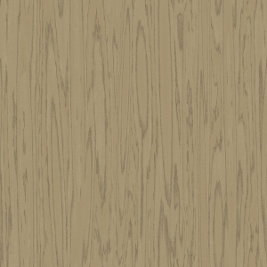 ModernWood Texture