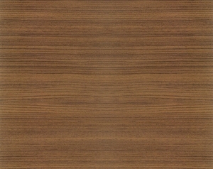 ModernWood Texture