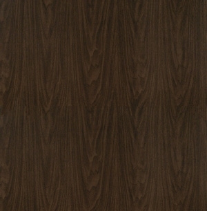 ModernWood Texture