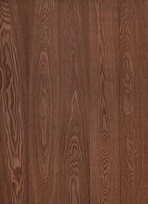 ModernWood Texture