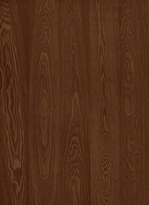 ModernWood Texture