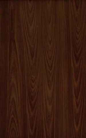 ModernWood Texture