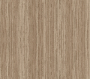 ModernWood Texture