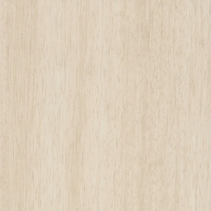 ModernWood Texture