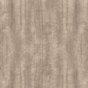 ModernWood Texture