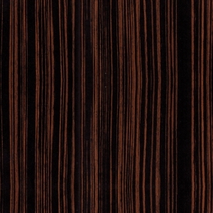 ModernWood Texture