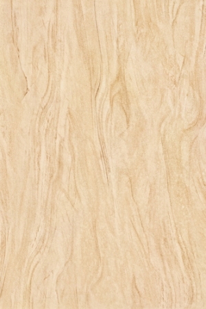 ModernWood Texture