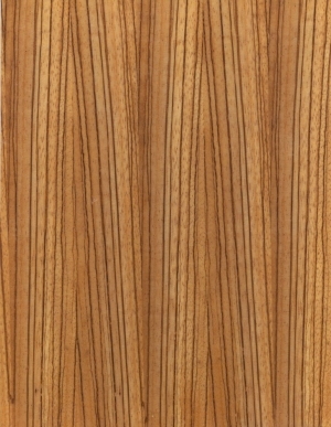 ModernWood Texture