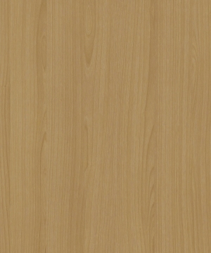 ModernWood Texture