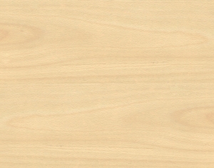 ModernWood Texture