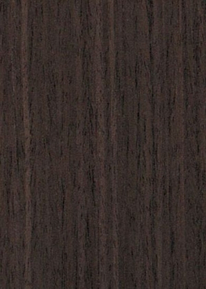 ModernWood Texture