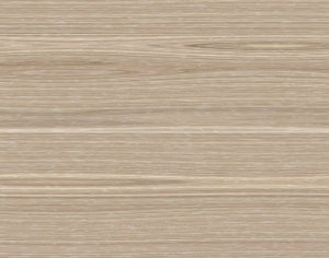 ModernWood Texture