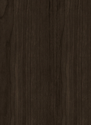 ModernWood Texture