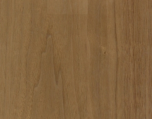 ModernWood Texture