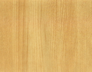 ModernWood Texture