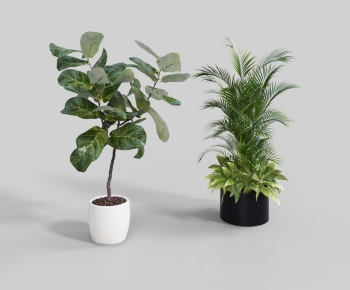 Modern Ground Green Plant Potted Plants-ID:792503128
