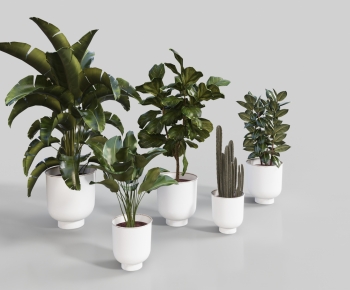 Modern Ground Green Plant Potted Plants-ID:749840977