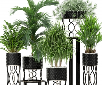 Modern Potted Green Plant-ID:532211072