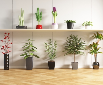 Modern Potted Green Plant-ID:597569945