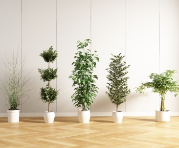 Modern Ground Green Plant Potted Plants-ID:612519988