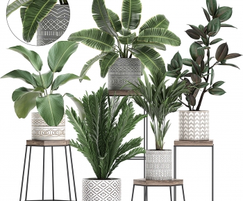 Modern Potted Green Plant-ID:283921965