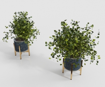 Modern Ground Green Plant Potted Plants-ID:257632028