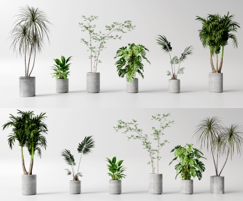 Modern Ground Green Plant Potted Plants-ID:589819076