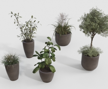 Modern Ground Green Plant Potted Plants-ID:206449039