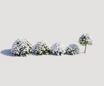 现代雪景植物灌木树雪松-ID:221242902