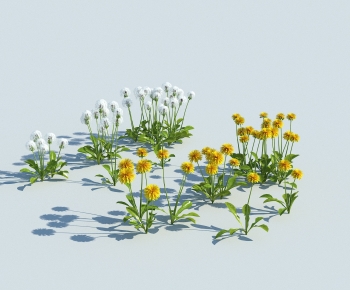 Modern Flowers And Grass-ID:215981062
