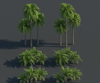 现代热带树棕榈树椰子树-ID:470335011