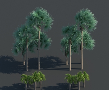 现代热带树棕榈树椰子树-ID:493033896