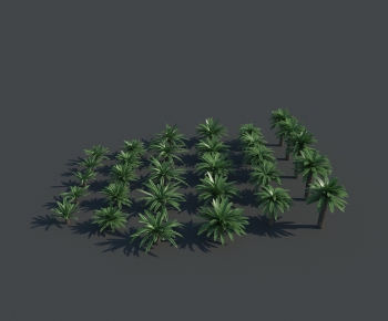 现代热带树棕榈树椰子树-ID:940854076
