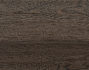 ModernWood Texture