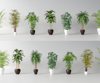 Modern Ground Green Plant Potted Plants-ID:703113085